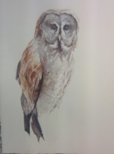 Emperor of the North
22" x 30" Watercolor