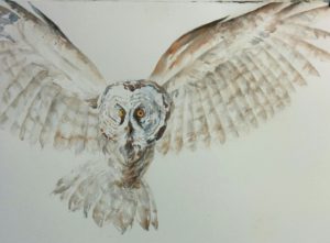 Awake See Remember
22" x 30" Watercolor